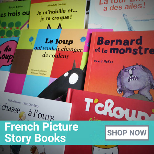 French Picture Story Books