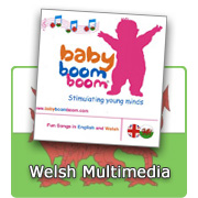 Welsh Multimedia