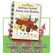 Welsh Word Books and Dictionaries
