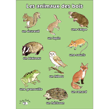 French Vocabulary Poster: Les animaux des bois (A3)