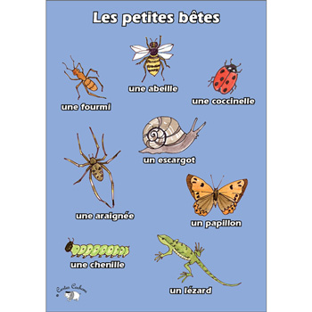 French Vocabulary Poster: Les petites bêtes (A3)