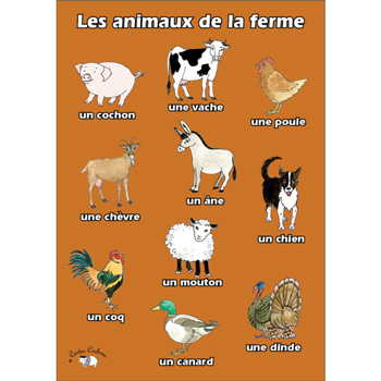 French Vocabulary Poster: Les animaux de la ferme (A3)