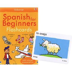 Usborne Spanish for Beginners Flashcards