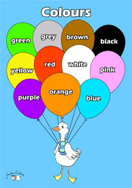 English Poster (A3) - Colours