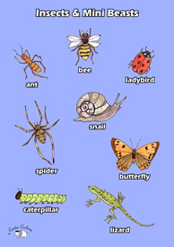 English Poster (A3) - Insects & Mini Beasts