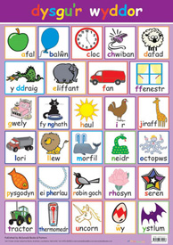 Welsh Poster - Dysgu'r Wyddor (Words & Alphabet)