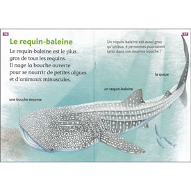 Tous lecteurs ! Niveau 2 - Gare aux requins !