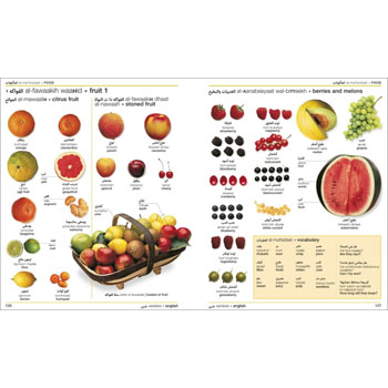 DK Arabic - English Visual Dictionary