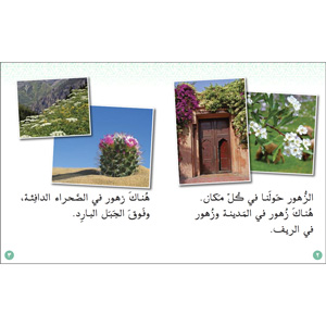 Arabic Small Wonders Readers - Complete Set of 6