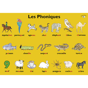 Poster (A3) - Les Phoniques