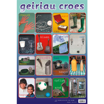 Welsh Poster - Geiriau Croes (Opposites)