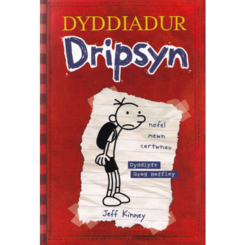 Dyddiadur Dripsyn