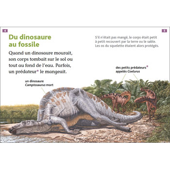 Tous lecteurs ! Niveau 2 - Dinosaures