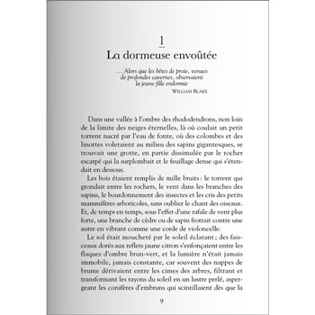 A la croise des mondes (3) - Le Miroir d'ambre