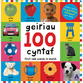 100 Geiriau Cyntaf / First 100 Words in Welsh