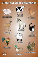 Poster (A3) - Tiere auf dem Bauernhof