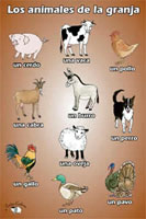 Poster (A3) - Los animales de la granja