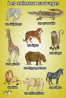 Poster (A3) - Les animaux sauvages