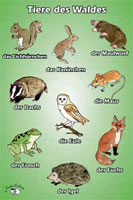 Poster (A3) - Tiere des Waldes