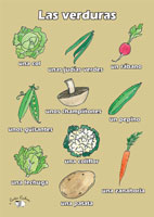 Poster (A3) - Las verduras