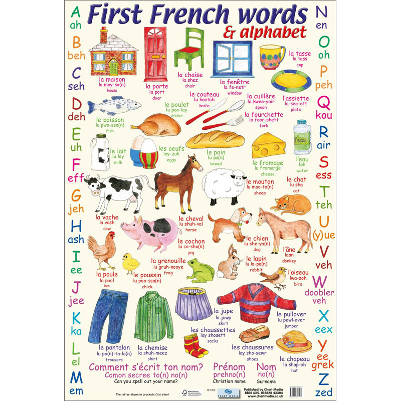 First French Words & Alphabet Poster Chart Media 9781906707118 - Little  Linguist