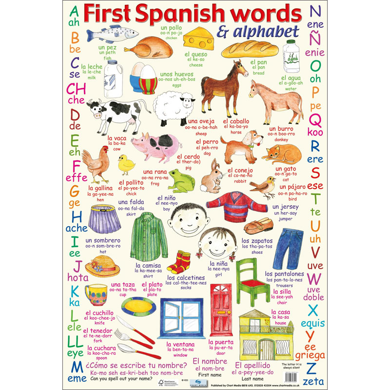 First Spanish Words & Alphabet Poster