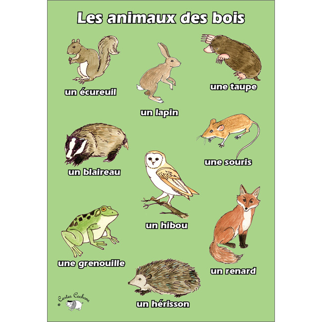 French Vocabulary Poster: Les animaux des bois - Little Linguist