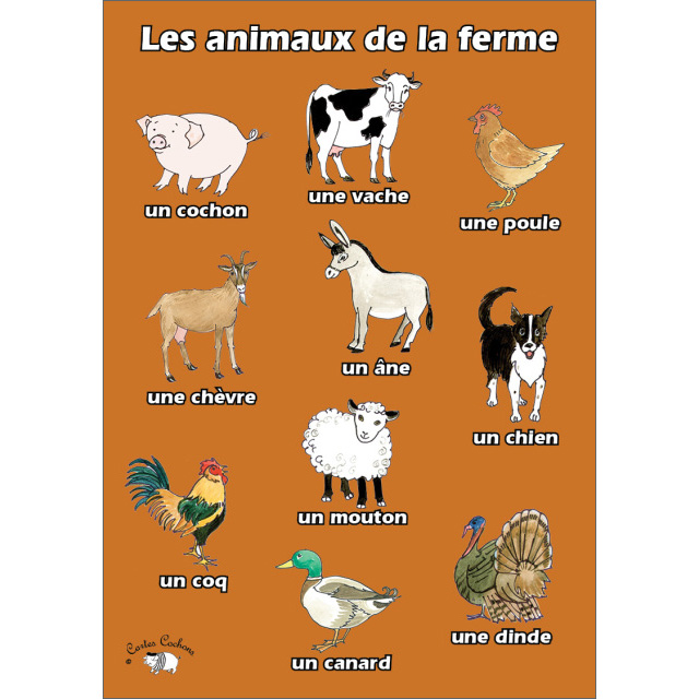French Vocabulary Poster | Les animaux de la ferme - Little Linguist