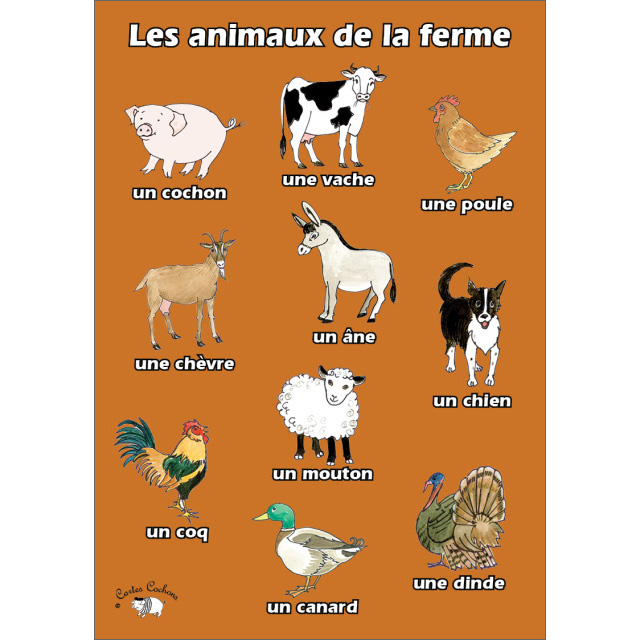 French Vocabulary Poster | Les animaux de la ferme - Little Linguist French Vocabulary Poster | Les animaux de la ferme - Little Linguist