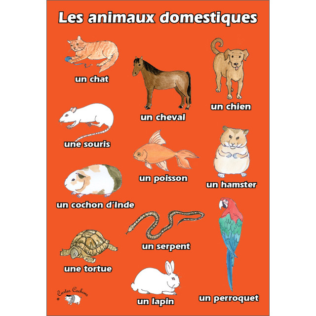 Animaux