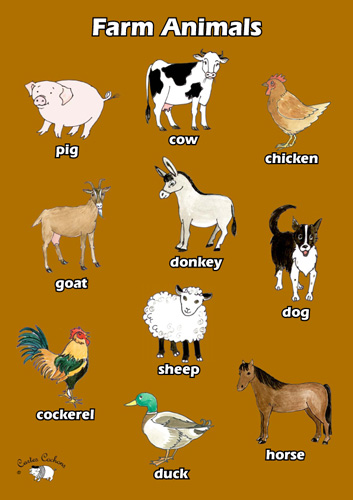 English Poster (A3) - Farm Animals