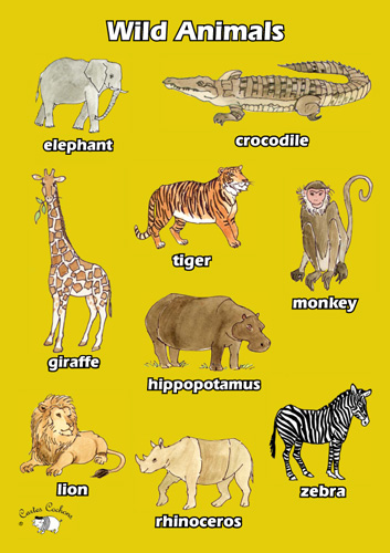 English Poster - Wild Animals - Little Linguist
