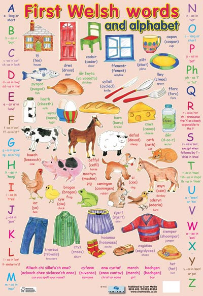 First Welsh Words and Alphabet Poster