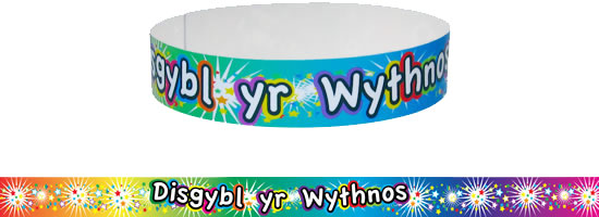 Welsh Wristbands - Pupil of the Week (Pack of 30)