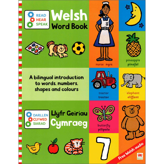Welsh Word Book / Llyfr Geiriau Cymraeg