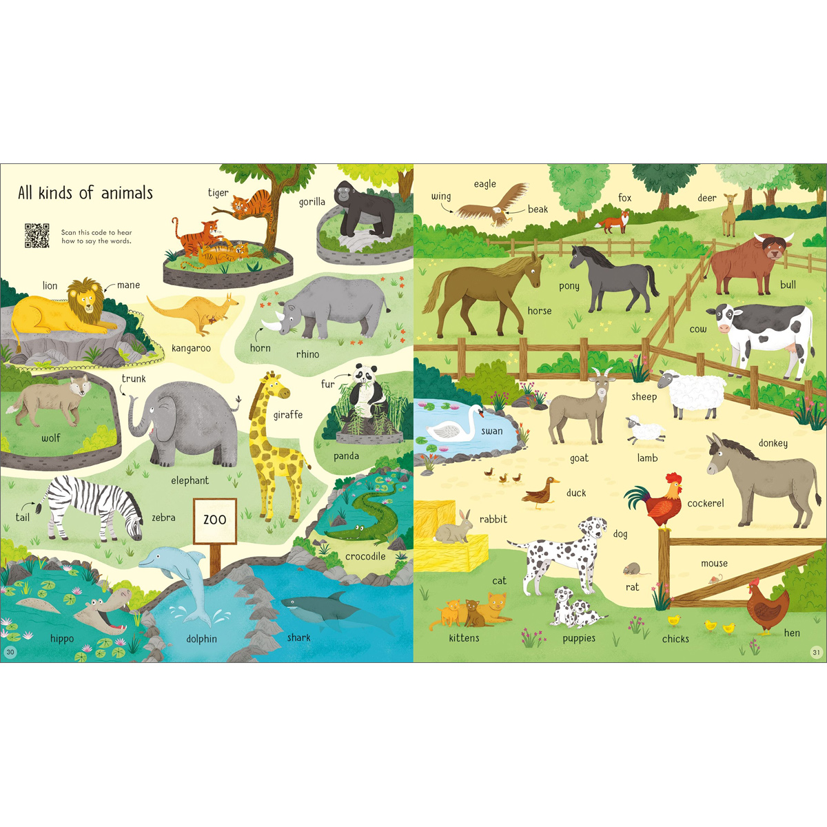 Usborne 1000 English Words Little Linguist Usborne 1000 English Words Little Linguist