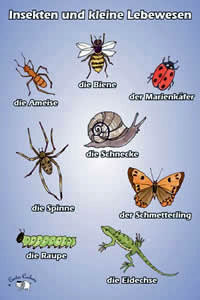 Poster (A3) - Insekten und kleine Lebewesen