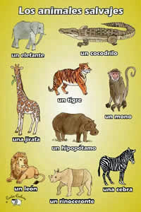 Poster (A3) - Los animales salvajes