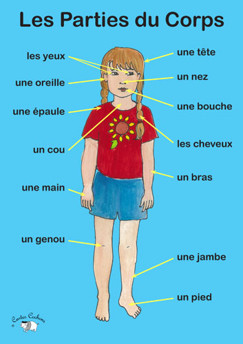 Poster - Les Parties du Corps - Little Linguist