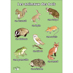 French Vocabulary Poster: Les animaux des bois (A3)