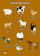 English Poster (A3) - Farm Animals