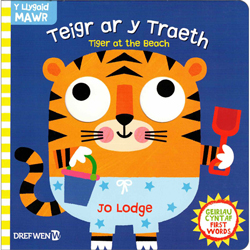 Teigr ar y Traeth / Tiger at the Beach