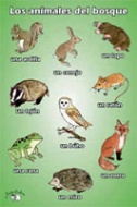 Poster (A3) - Los animales del bosque